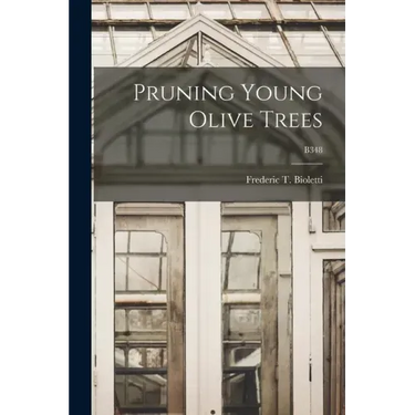 Pruning Young Olive Trees; B348