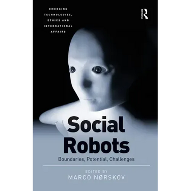 Social Robots: Boundaries, Potential, Challenges