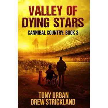 Valley of Dying Stars: A Post Apocalyptic Thriller