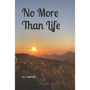 No More Than Life