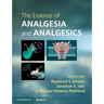 The Essence of Analgesia and Analgesics