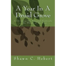 A Year In A Druid Grove: Celebrating the Seasonal Festivals on the Wheel of the Year