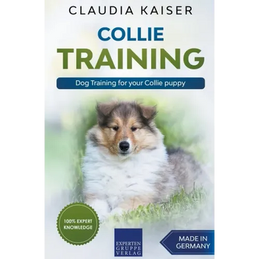 Collie Training - Dog Training for your Collie puppy