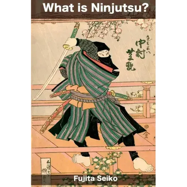 What is Ninjutsu?