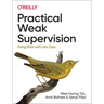 Practical Weak Supervision: Doing More with Less Data