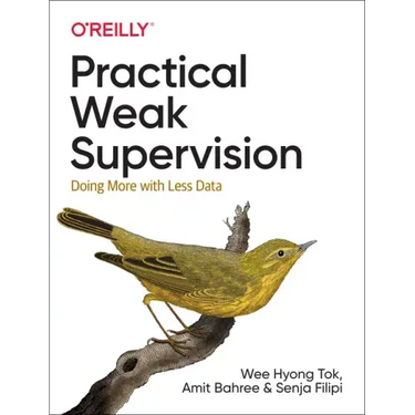 Practical Weak Supervision: Doing More with Less Data