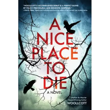 A Nice Place to Die: A DS Ryan McBride Novel