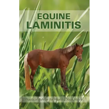 Equine Laminitis