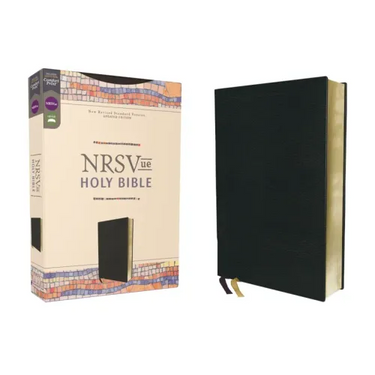 Nrsvue, Holy Bible, Leathersoft, Black, Comfort Print