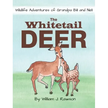 The Whitetail Deer