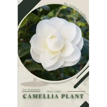 Camellia Plant: Plant Guide
