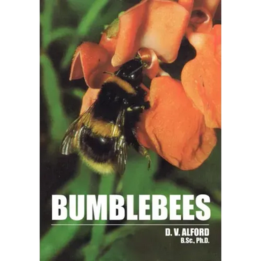 Bumble Bees