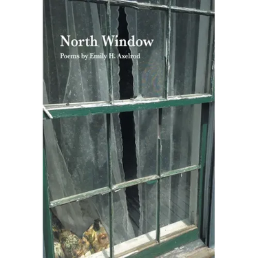 North Window