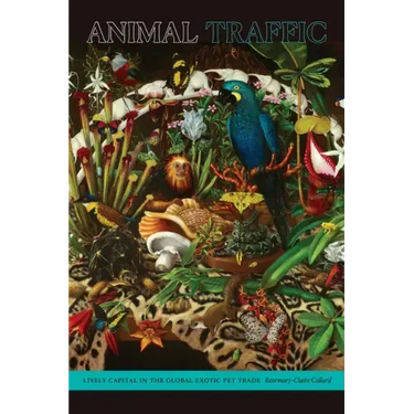 Animal Traffic: Lively Capital in the Global Exotic Pet Trade