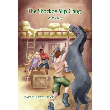 The Shockoe Slip Gang: A Mystery
