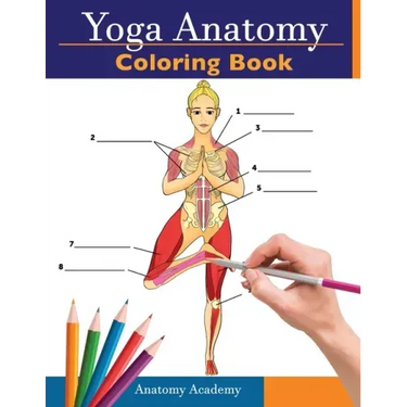Yoga Anatomy Coloring Book: 3-in-1 Collection Set 150+ Incredibly Detailed Self-Test Beginner, Intermediate & Expert Yoga Poses Color workbook