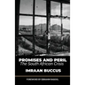Promises and Peril: The South African Crisis