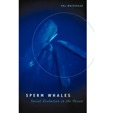Sperm Whales: Social Evolution in the Ocean