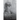 Black Cadet in a White Bastion: Charles Young at West Point