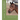 So You Want to Raise Horses?: Things You Need to Know Before You Hear That First Whinny