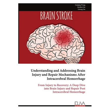 Understanding and Addressing Brain Injury and Repair Mechanisms After Intracerebral Hemorrhage