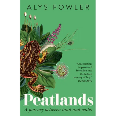 Peatlands: A Journey Between Land and Water