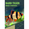 Barb Tiger: From Novice to Expert. Comprehensive Aquarium Fish Guide