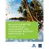 Big Data for Better Tourism Policy, Management, and Sustainable Recovery from Covid-19