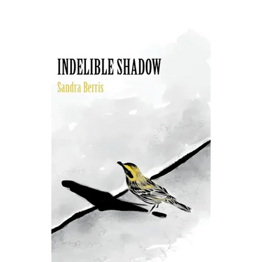 Indelible Shadow