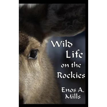 Wild Life on the Rockies