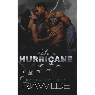 Like a Hurricane: A dark smalltown romance