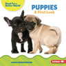 Puppies: A First Look