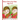 Short Story for Kids Age 4- 9: Beautiful Illustration Story Fairy Tales for Kids!