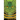 The Green Millennium (Heathen Edition)