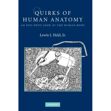 Quirks of Human Anatomy