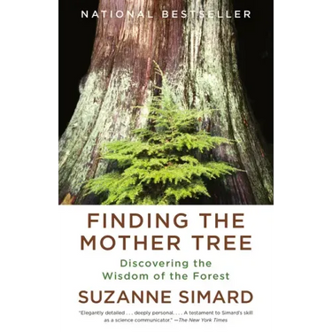 Finding the Mother Tree: Discovering the Wisdom of the Forest
