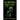 The War Wolf: The Sorrow Song Trilogy Part One