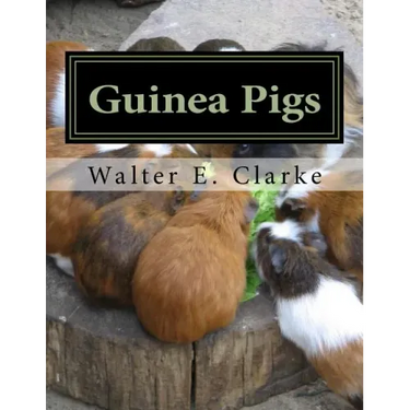 Guinea Pigs: A Practical Treatise on their Breeding, Feeding and Management of Cavies