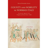 County and Nobility in Norman Italy: Aristocratic Agency in the Kingdom of Sicily, 1130-1189