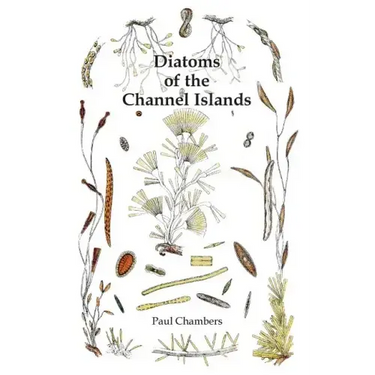 Diatoms of the Channel Islands