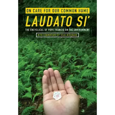 On Care for Our Common Home, Laudato Si': The Encyclical of Pope Francis on the Environment with Commentary by Sean McDonagh