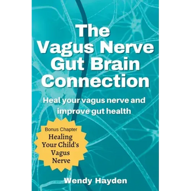 The Vagus Nerve Gut Brain Connection