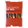 The Space of Sex: The Porn Aesthetic in Contemporary Film and Television