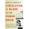 Angelo Mosso's Circulation of Blood in the Human Brain