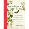 The Encyclopedia of Spirits: The Ultimate Guide to the Magic of Fairies, Genies, Demons, Ghosts, Gods and Goddesses