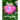 Rose coloring book: A Coloring Book of 35 Unique rose Coe Stress relief Book Designs Paperback