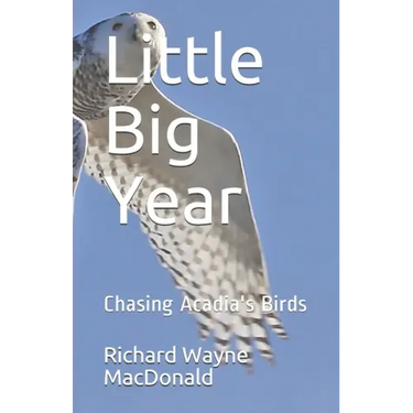 Little Big Year: Chasing Acadia's Birds