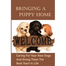 Bringing A Puppy Home: Caring For Your New Dogs And Giving Them The Best Start In Life: Raise The Perfect Dog