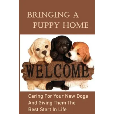 Bringing A Puppy Home: Caring For Your New Dogs And Giving Them The Best Start In Life: Raise The Perfect Dog