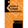 Theory in Economic Anthropology